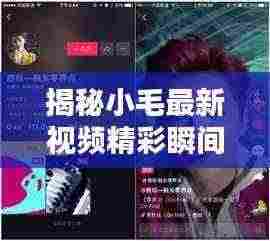 揭秘小毛最新视频精彩瞬间，今日头条独家呈现！
