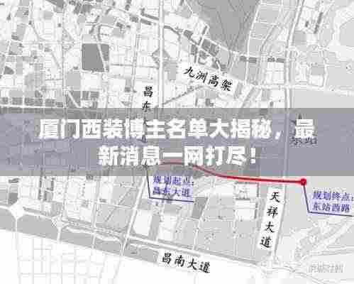 厦门西装博主名单大揭秘，最新消息一网打尽！