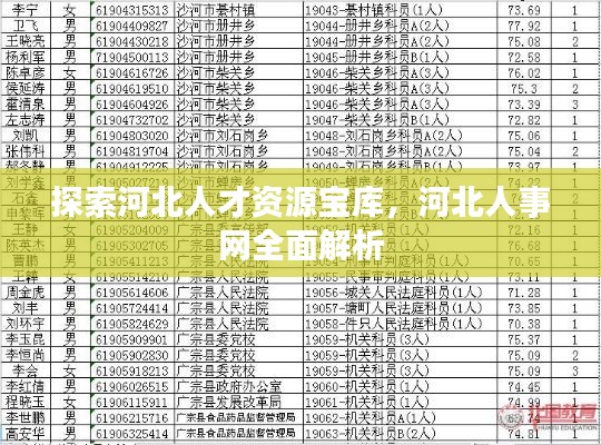探索河北人才资源宝库，河北人事网全面解析