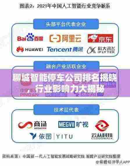 聊城智能停车公司排名揭晓，行业影响力大揭秘