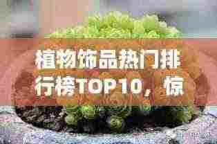 植物饰品热门排行榜TOP10，惊艳你的绿色选择！