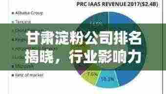 甘肃淀粉公司排名揭晓，行业影响力不容小觑