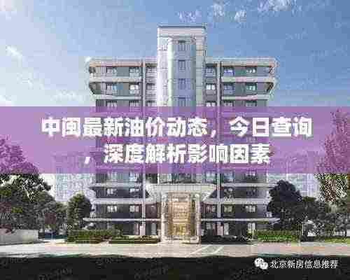 中闽最新油价动态，今日查询，深度解析影响因素
