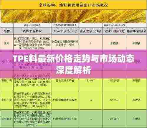 TPE料最新价格走势与市场动态深度解析