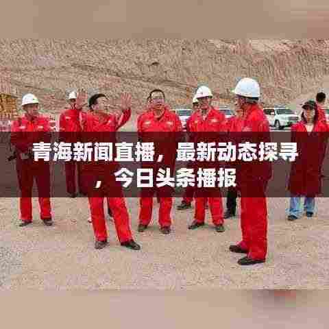 青海新闻直播，最新动态探寻，今日头条播报