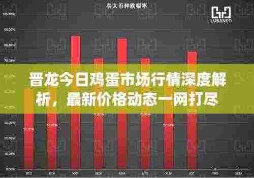 晋龙今日鸡蛋市场行情深度解析，最新价格动态一网打尽