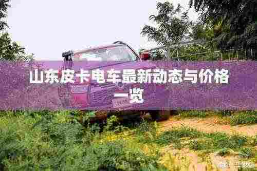 山东皮卡电车最新动态与价格一览
