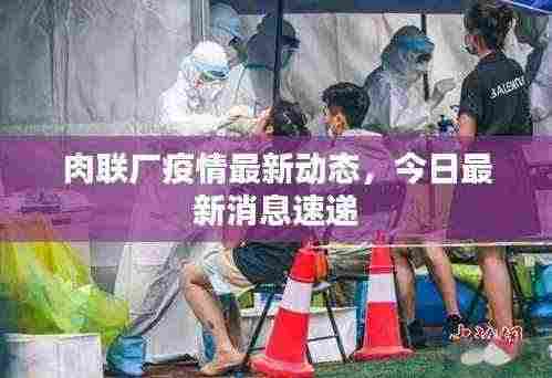肉联厂疫情最新动态，今日最新消息速递