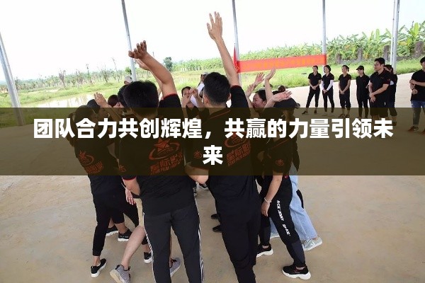 团队合力共创辉煌，共赢的力量引领未来