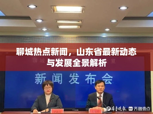 聊城热点新闻，山东省最新动态与发展全景解析