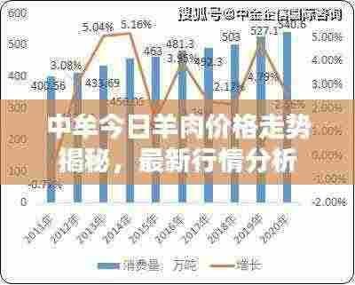 中牟今日羊肉价格走势揭秘，最新行情分析