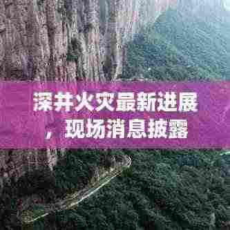 白璧无瑕 第3页