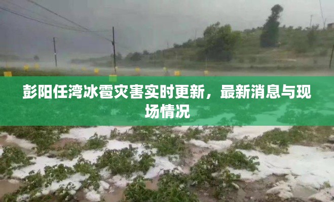 彭阳任湾冰雹灾害实时更新，最新消息与现场情况
