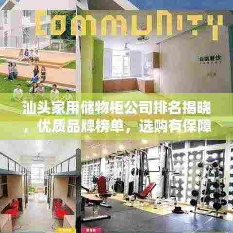 汕头家用储物柜公司排名揭晓，优质品牌榜单，选购有保障！