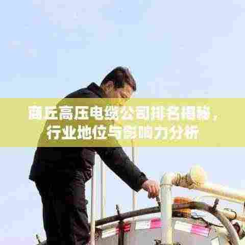 商丘高压电缆公司排名揭秘，行业地位与影响力分析