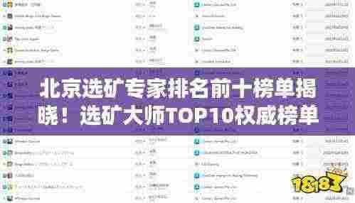 北京选矿专家排名前十榜单揭晓！选矿大师TOP10权威榜单出炉！