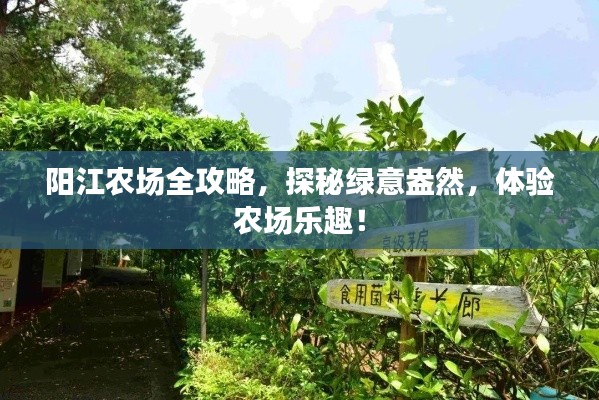 阳江农场全攻略，探秘绿意盎然，体验农场乐趣！