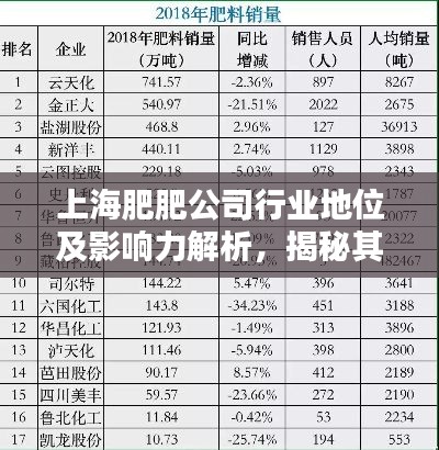 上海肥肥公司行业地位及影响力解析，揭秘其在业内排名与影响力！