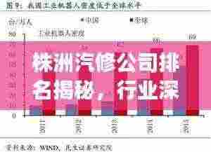 株洲汽修公司排名揭秘，行业深度分析与趋势解读