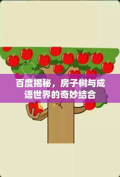 百度揭秘，房子树与成语世界的奇妙结合
