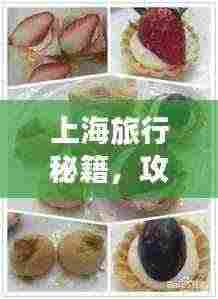 上海旅行秘籍，攻略美食一网打尽！