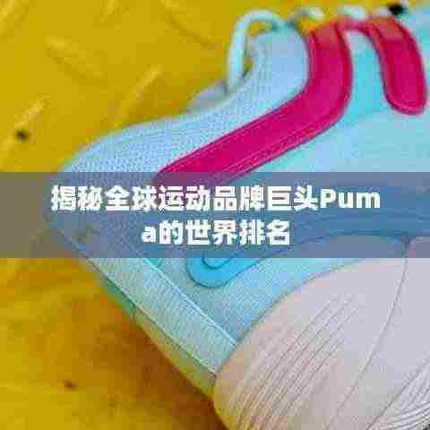 揭秘全球运动品牌巨头Puma的世界排名
