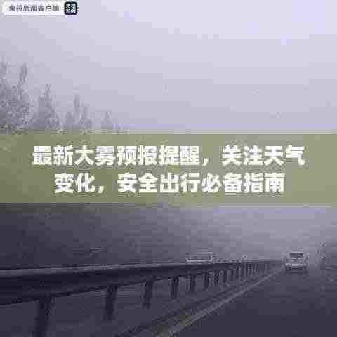 最新大雾预报提醒，关注天气变化，安全出行必备指南