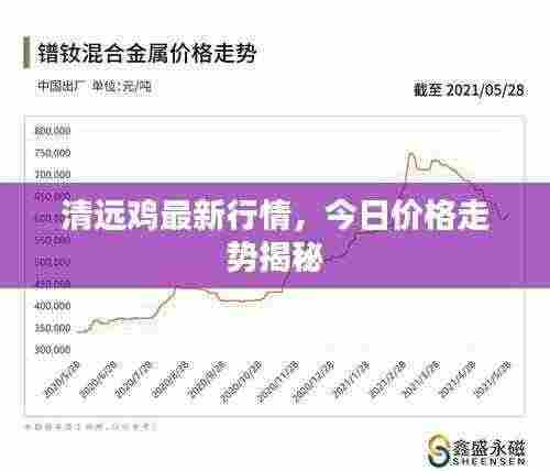 清远鸡最新行情，今日价格走势揭秘