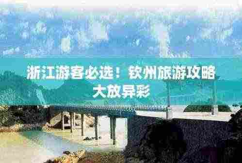 浙江游客必选！钦州旅游攻略大放异彩