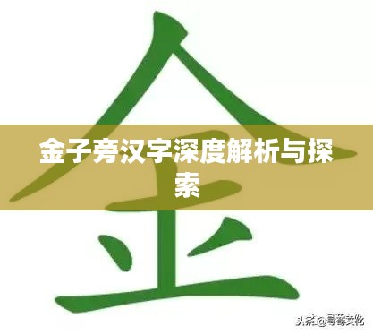 金子旁汉字深度解析与探索