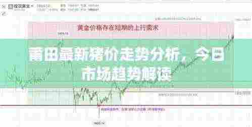 莆田最新猪价走势分析，今日市场趋势解读