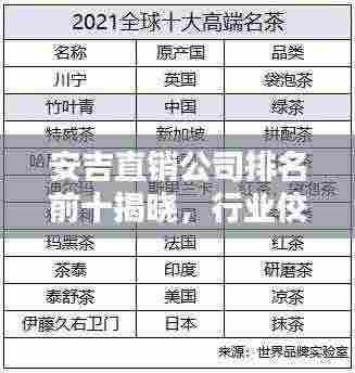 安吉直销公司排名前十揭晓，行业佼佼者引领潮流