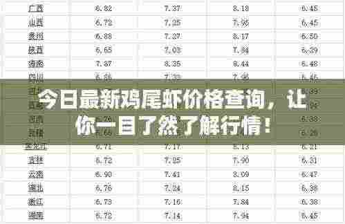 今日最新鸡尾虾价格查询，让你一目了然了解行情！