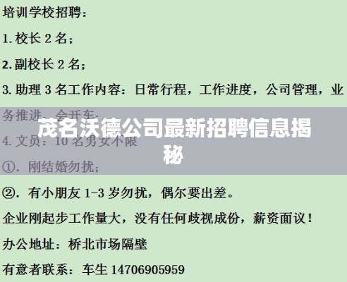 茂名沃德公司最新招聘信息揭秘