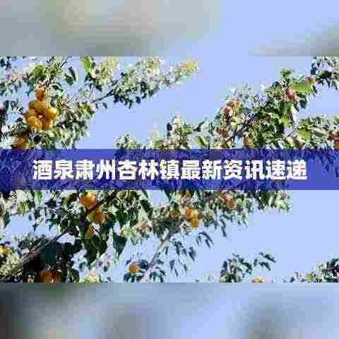 酒泉肃州杏林镇最新资讯速递