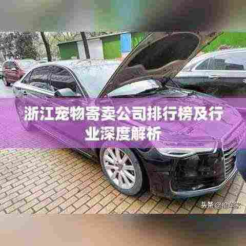 浙江宠物寄卖公司排行榜及行业深度解析