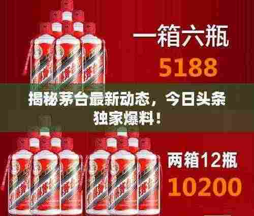 揭秘茅台最新动态，今日头条独家爆料！