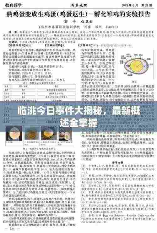 临洮今日事件大揭秘，最新概述全掌握