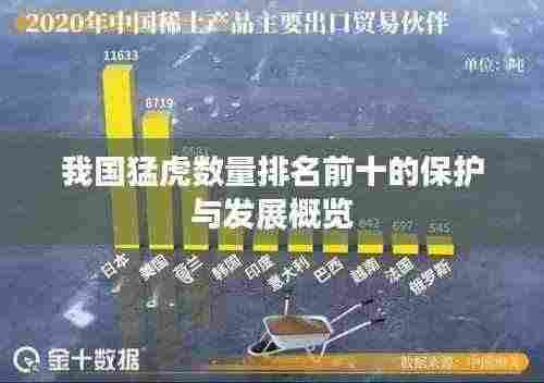 我国猛虎数量排名前十的保护与发展概览