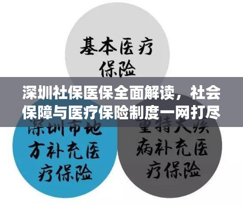 深圳社保医保全面解读，社会保障与医疗保险制度一网打尽！