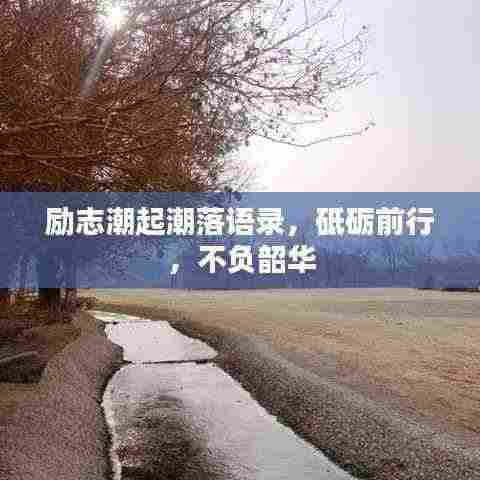 励志潮起潮落语录，砥砺前行，不负韶华