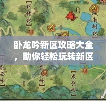 卧龙吟新区攻略大全，助你轻松玩转新区！