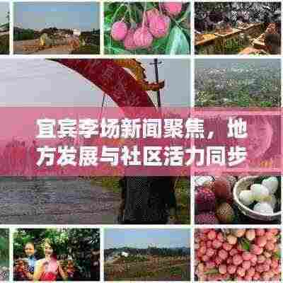 宜宾李场新闻聚焦，地方发展与社区活力同步提升
