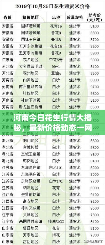 绝无仅有 第3页