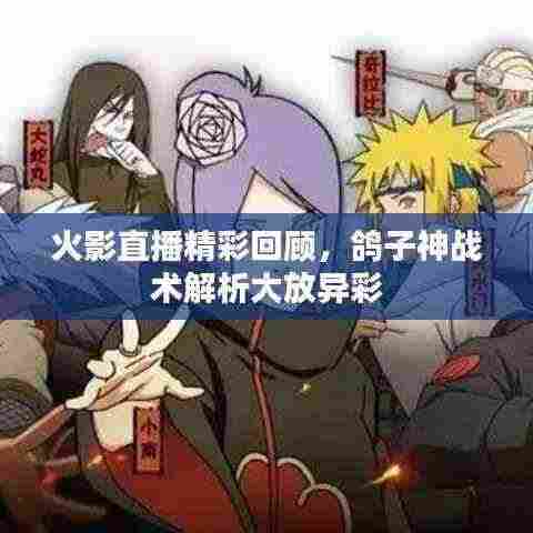 火影直播精彩回顾，鸽子神战术解析大放异彩