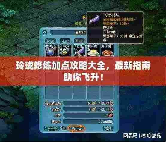 玲珑修炼加点攻略大全，最新指南助你飞升！