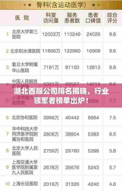 湖北西服公司排名揭晓，行业领军者榜单出炉！