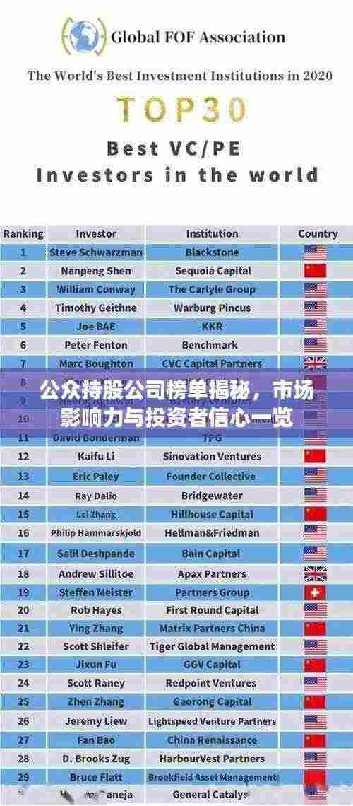 公众持股公司榜单揭秘，市场影响力与投资者信心一览