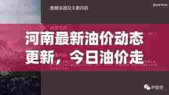 河南最新油价动态更新，今日油价走势及影响因素分析