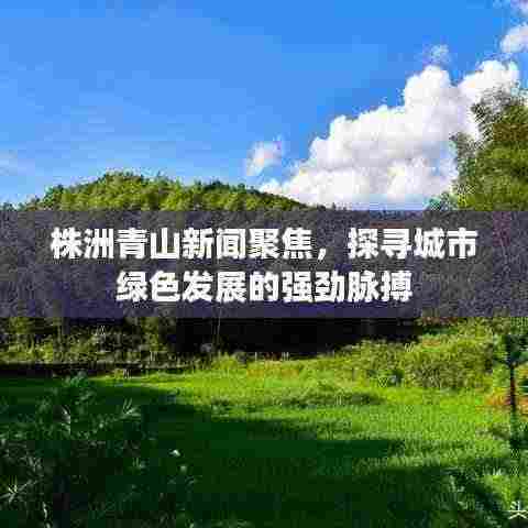 株洲青山新闻聚焦，探寻城市绿色发展的强劲脉搏
